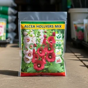 Alcea Hollyhocks mix