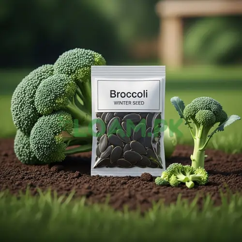 Broccoli Winter Seeds