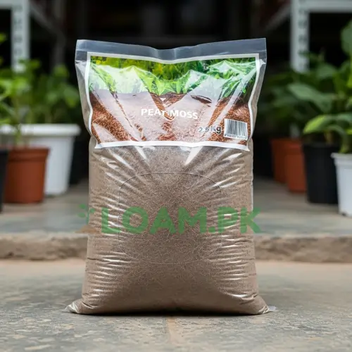 Buy Peat Moss