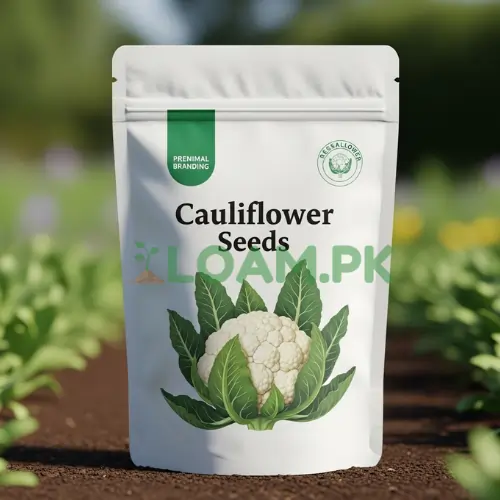CAULIFLOWER SEED's CAULIFLOWER SEED's