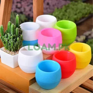 Cacti Pots Plastic