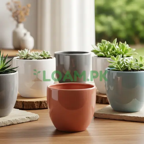Ceramic Pots Ceramic Pots
