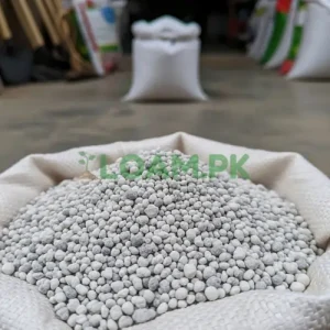 Diammonium Phosphate (DAP) Fertilizer