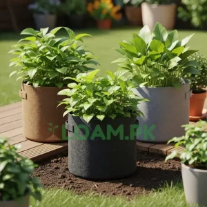 Fabric Grow Bags