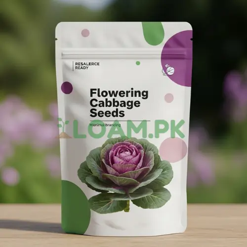 Flowering Cabbage Seeds