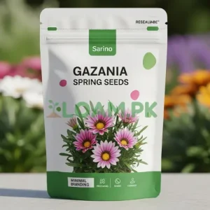 Gazania Spring & Winter Seeds
