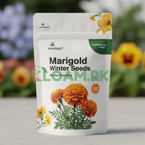 Marigold Winter Seeds Marigold Winter Seeds