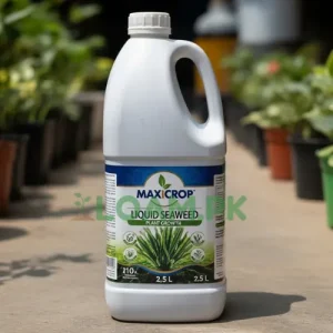 Maxicrop Liquid Seaweed Maxicrop Liquid Seaweed