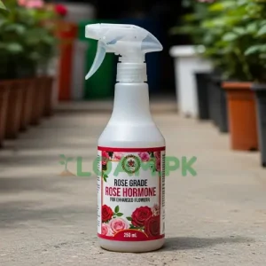 Rose Grade Rose Hormone Rose Grade Rose Hormone