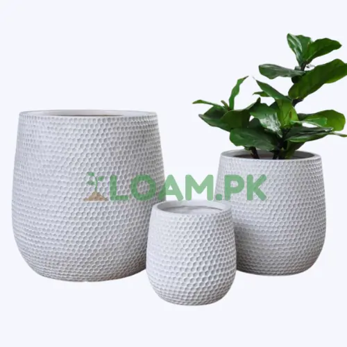 Sliding Neck Planter