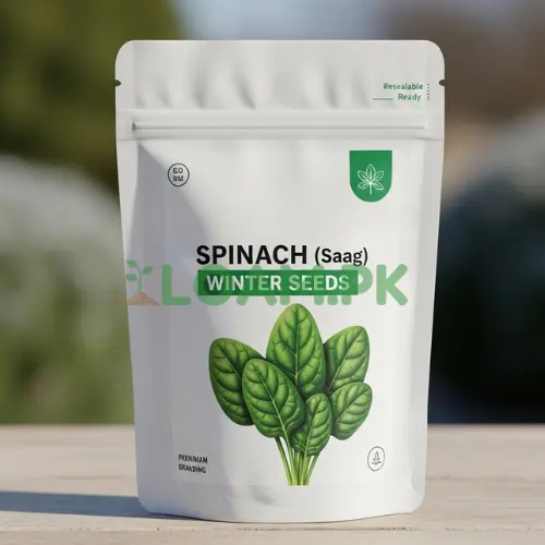 Spinach Saag Winter Seeds Spinach Saag Winter Seeds