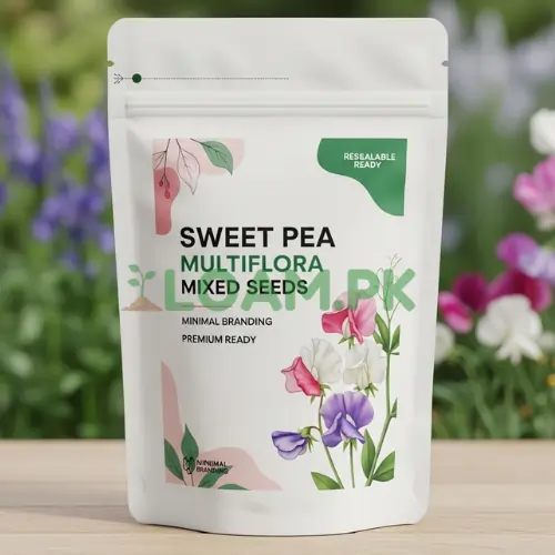 Sweet Pea Multiflora Mixed Seeds Sweet Pea Multiflora Mixed Seeds