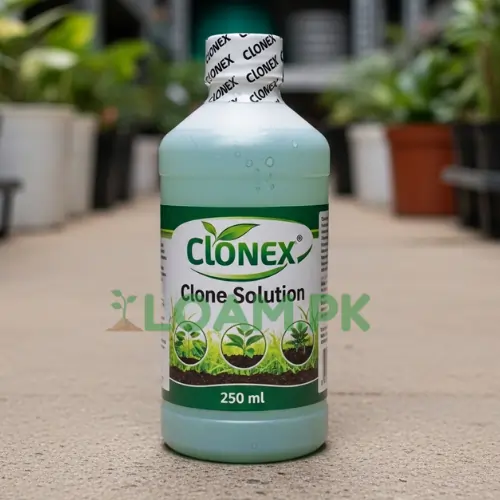 lonex Clone Solution lonex Clone Solution